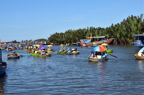 Tour thuyền thúng Cẩm Thanh