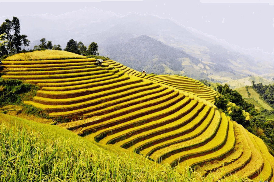 Địa Danh Hà Giang | Top 10 Địa Điểm Nổi Tiếng ở Hà Giang